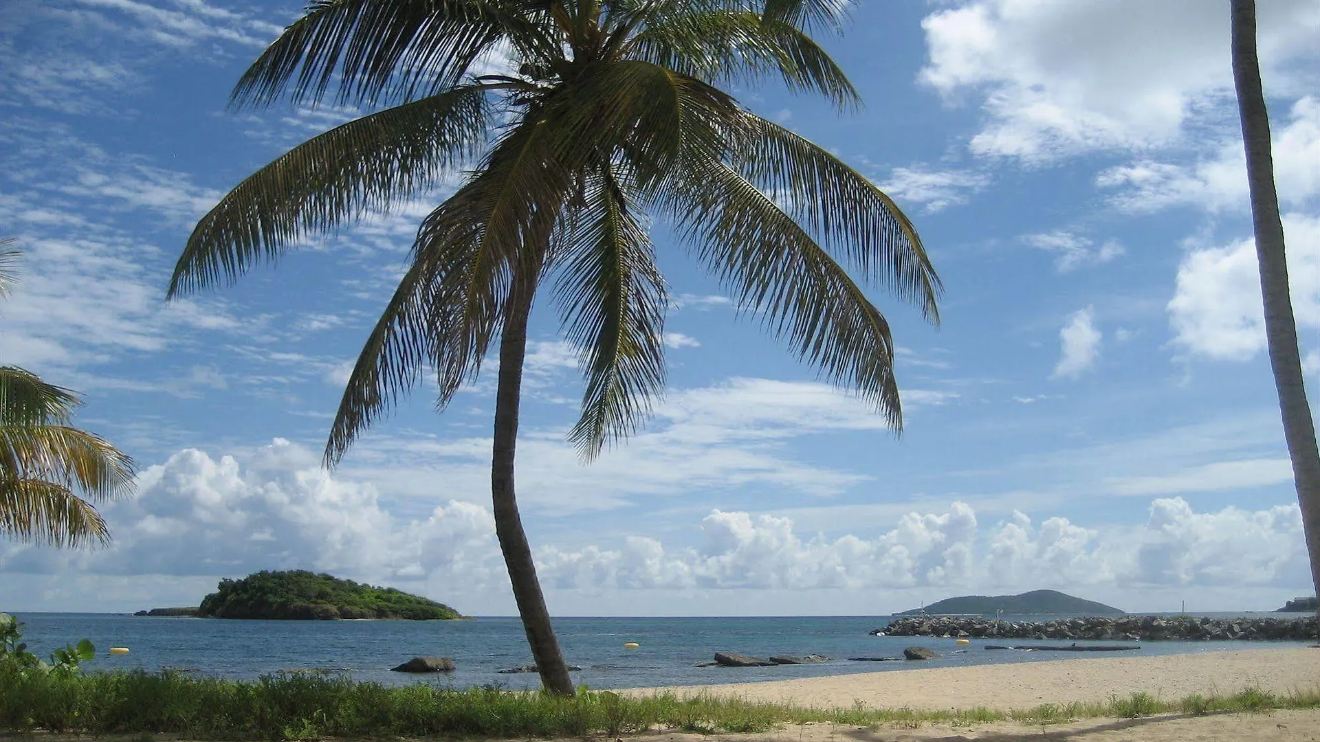 Tamarind Reef Resort Spa & Marina Christiansted